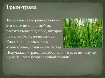 Человек как трава как растение