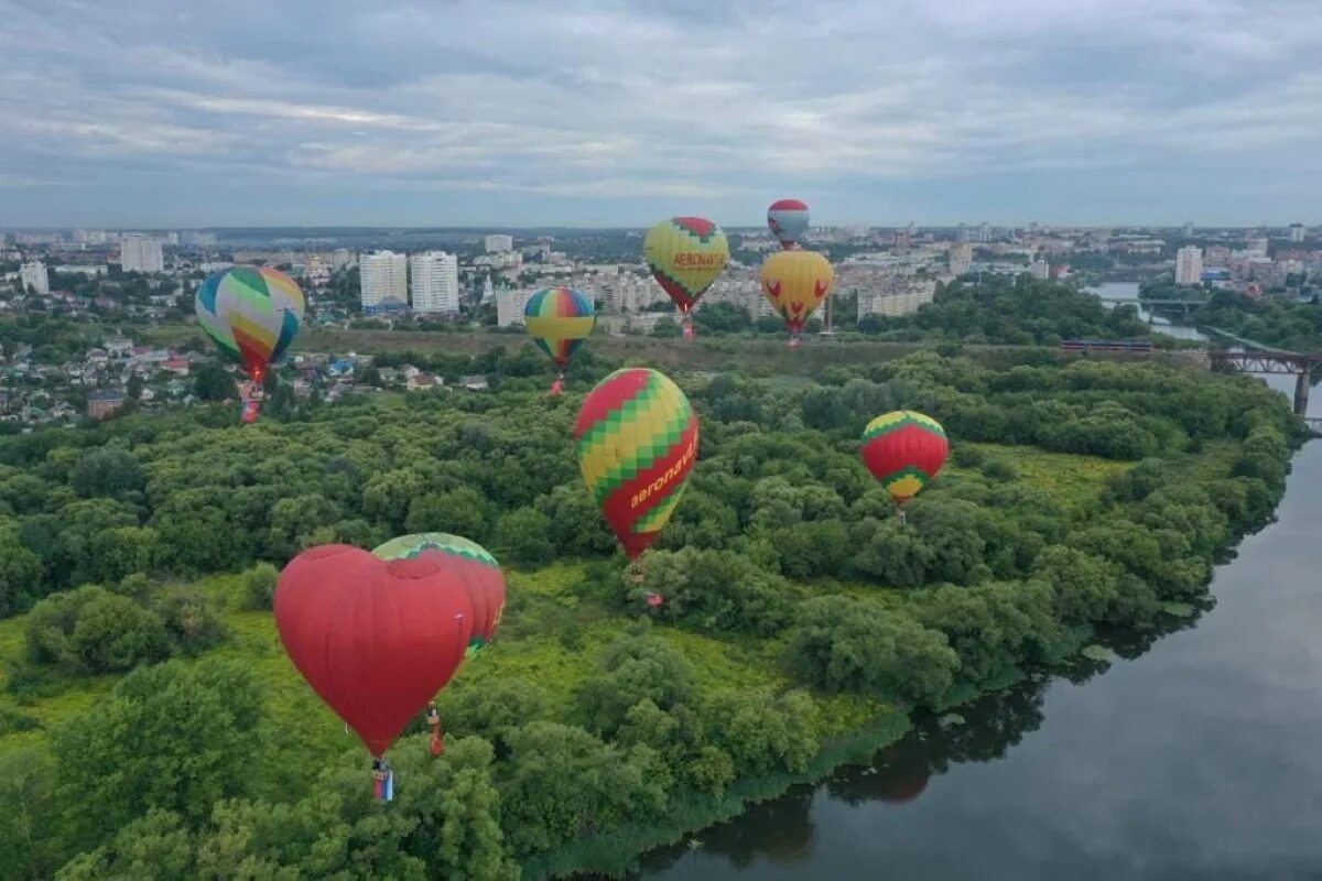 Шарова орел