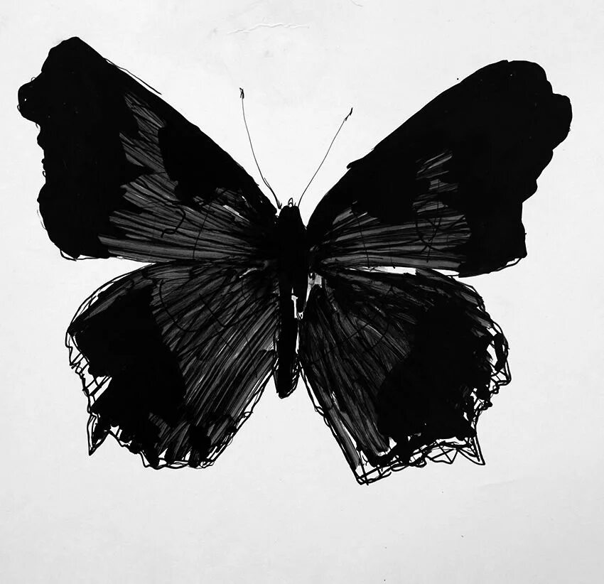Как называется черный рисунок. Бабочка черная. Черно белая Эстетика. Черная картина. Эстетика черно-белого цвета.