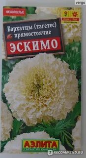 Бархатцы эскимо описание