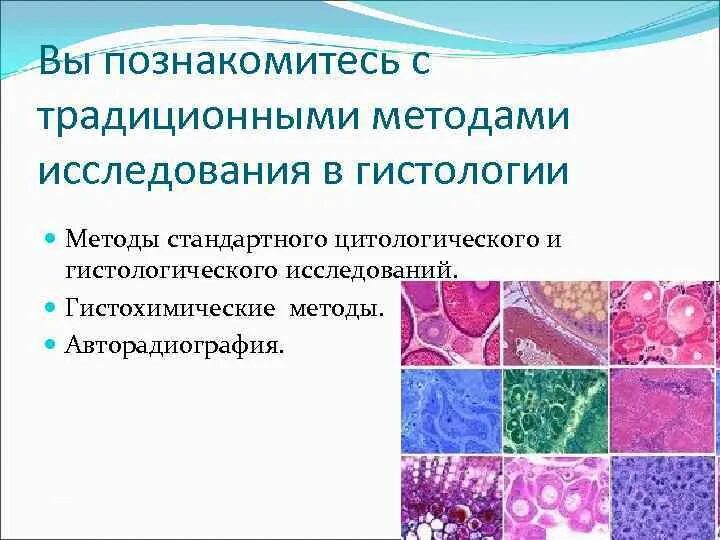 Гистологические и гистохимические методы исследования. 4. Гистохимические методы исследования в гистологии. Гистохимические методы исследования в цитологии. Цитологические цито- и гистохимические методы. Цитологические и гистологические исследования