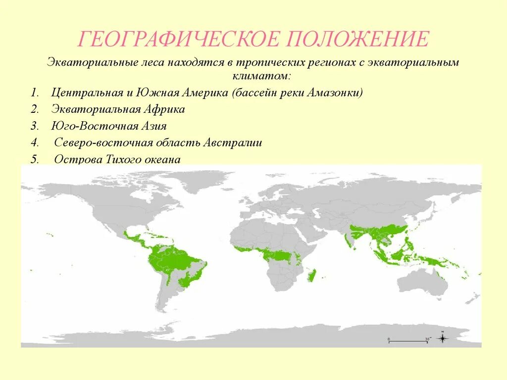 Тропики материка евразия. Переменно влажные муссонные леса на карте. Влажные тропические леса географическое положение. Влажэкваториальные леса карта.