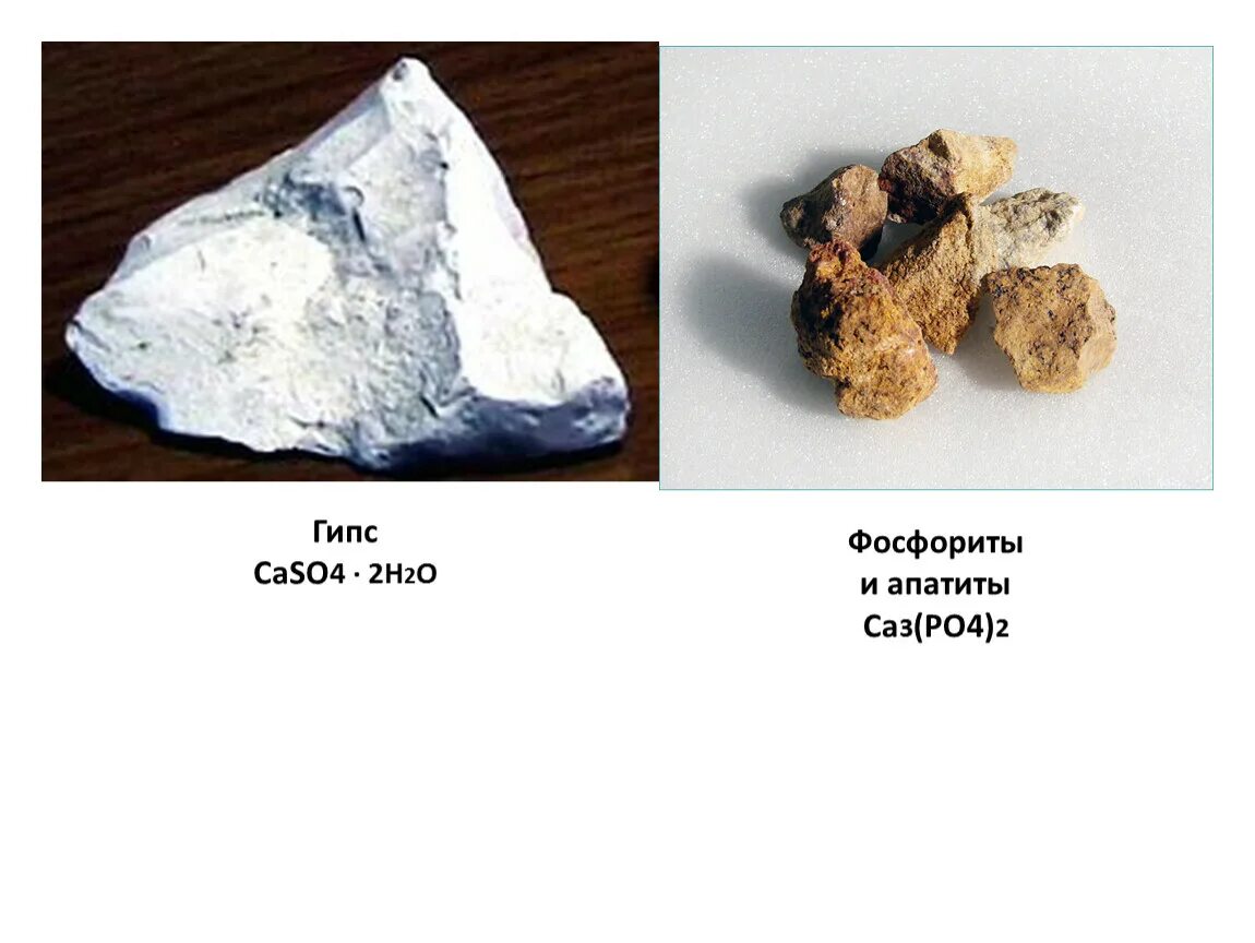 Caso4 класс соединения. Гипс caso4 2h2o. Фосфориты и Апатиты. Фосфорит формула химическая. Кальций в гипсе.