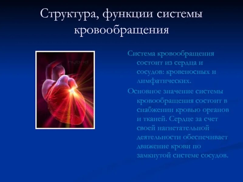 Основное значение