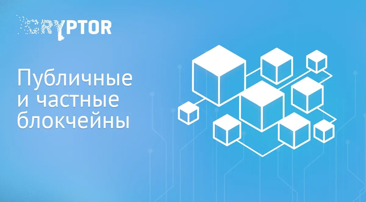 Когда была запущена laborx