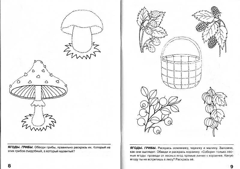Логопедическое задание для дошкольников на тему грибы и ягоды. Грибы Нищева подготовительная группа. Лексическая тема грибы и ягоды Нищева. Лексические темы для детей 6-7 лет логопедические по Нищевой. Нищева старшая группа тетради