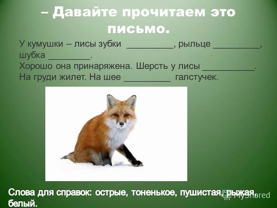 фамилия имя отчество для лисы. дикие животные удмуртии. что кушают лисы. имя лиса. лиса ест.