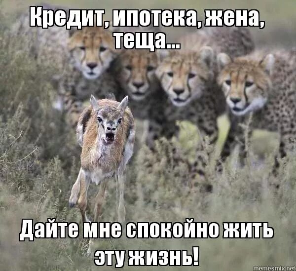 Живи с юмором. Как жить спокойно. Расслабление девушка. Живи спокойно. Как жить спокойно.