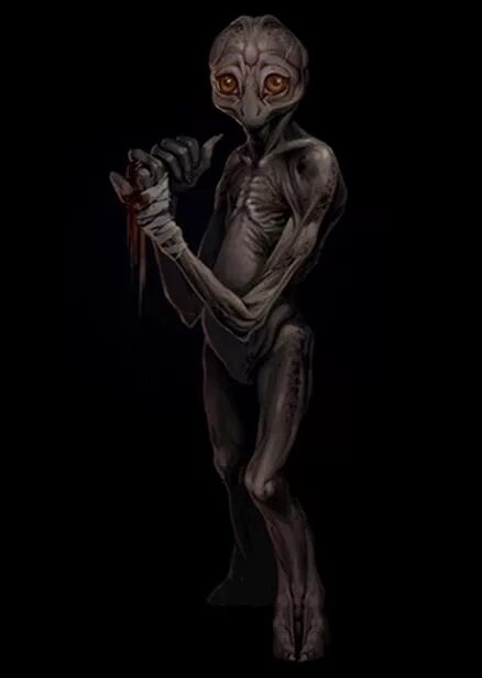 Метро 2033 ласт лайт. Dark ones. Маленький черный из метро 2033. Метро 2033 маленький чёрный. Чёрные мутанты из метро 2033.