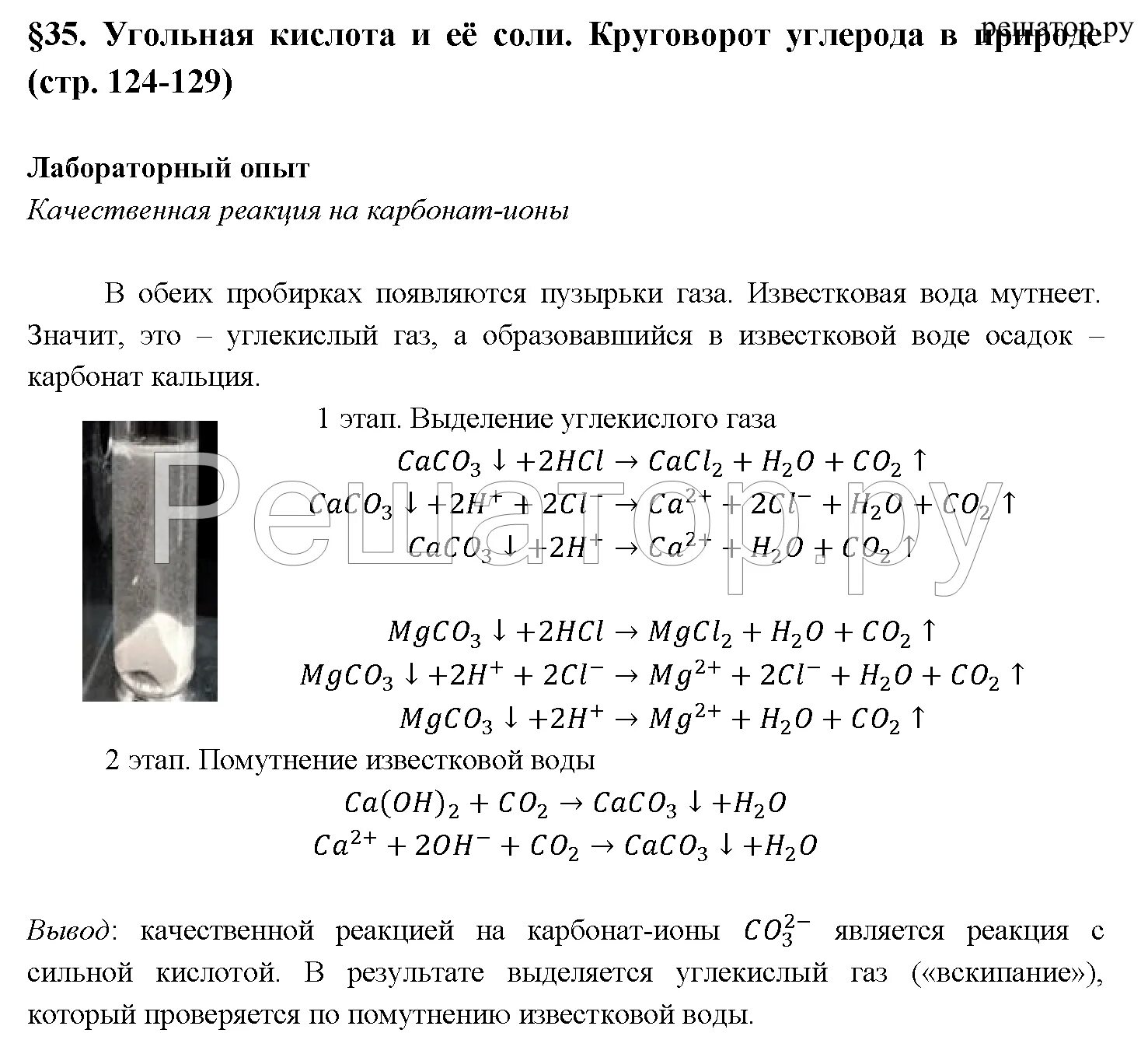 Решение по химии 9 класс рудзитис. Помутнение известковой воды реакция. конспект по химии угольная кислота и ее соли 9 класс. уравнение помутнение известковой воды. угольная кислота и ее соли 9 класс химия.