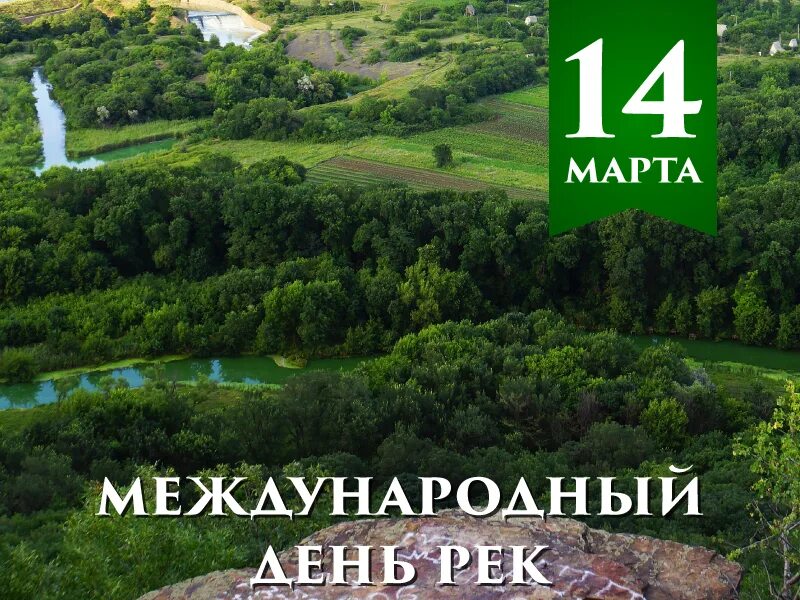 Международный день рек. Международный день рек открытка. 14 Международный день рек..