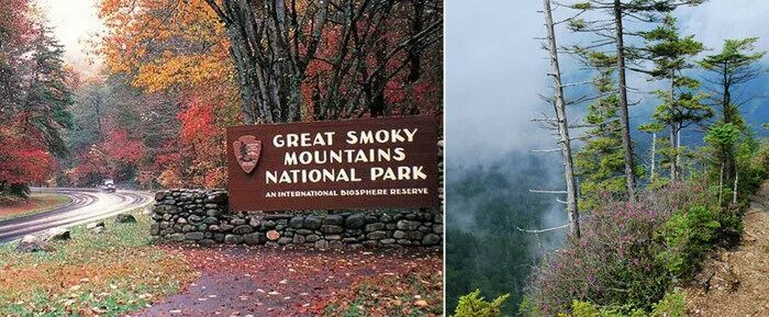 The great smoky. Смоки маунтинс сша. Смоки маунтинс сша. Парк грейт смоки маунтинс. Смоки маунтинс теннесси.
