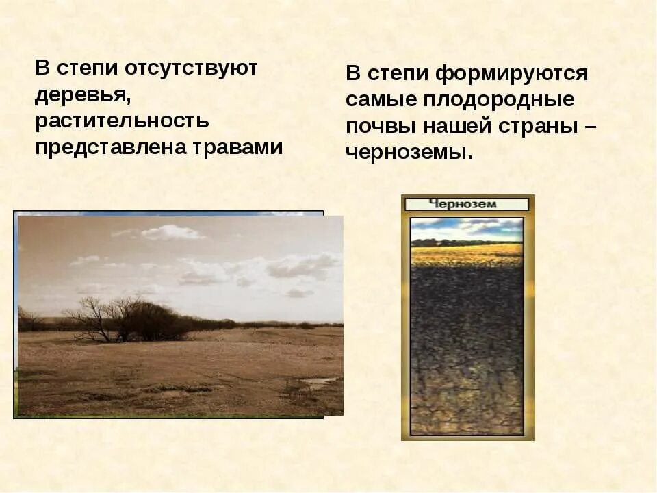 Чернозем описание почвы 4. Солончаки солонцы и солоди. Почвы степи. Чернозёмы лесостепи почвы. Чернозёмы лесостепи почвы.
