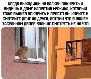Вышел на балкон закурил много думал плакал