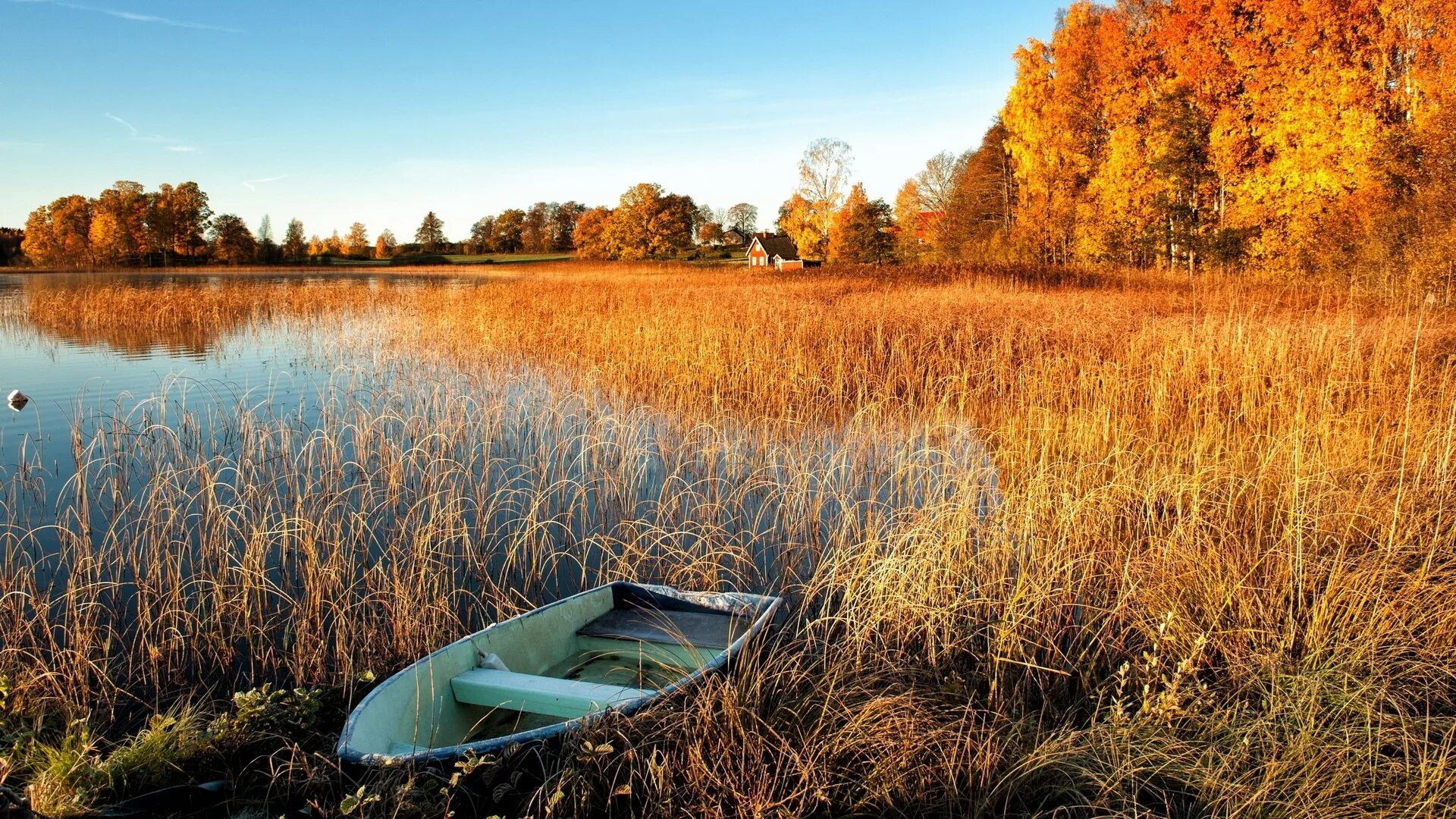 Природа плавней. Озеро Кафтино. Осеннее озеро. Осень озеро. Озеро осенью.