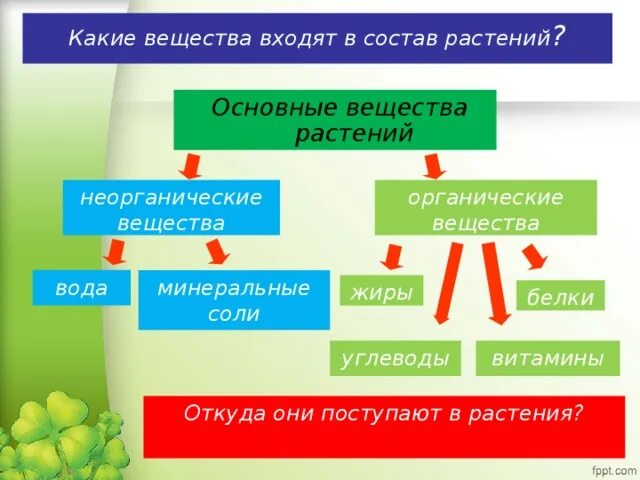 Растения состоят из веществ. Органические и неорганические вещества в растениях. органические вещества растений. основные вещества растений. растения и минеральные вещ.