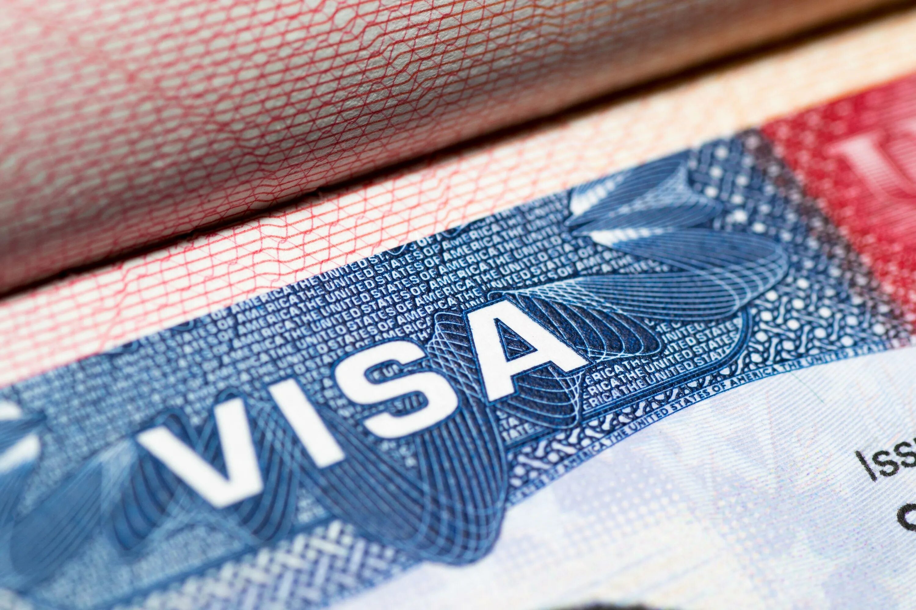 Visa applicant. Виза. шенгенская виза. виза в сша. visa картинка.