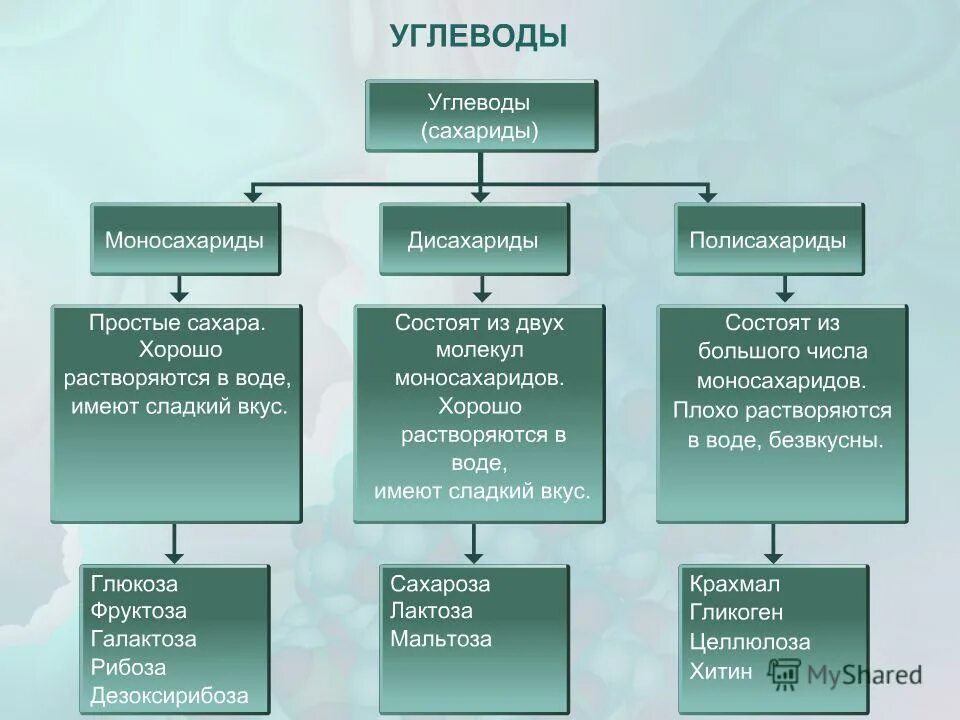 классификация углеводов химия 9 класс. схема классификация углеводов химия. схема углеводов биология 10 класс. схема углеводов биология 10 класс. углеводы схема строения.
