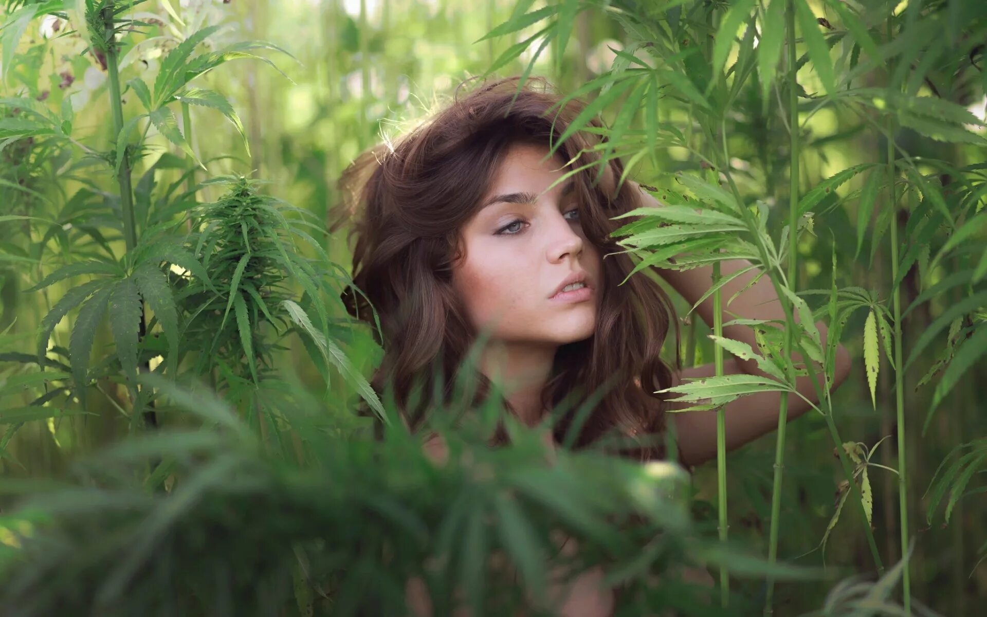 Девушки в кустах. Девушки в кустах. Девочка в кустах. Девушки в кустах. Katya forest актриса.