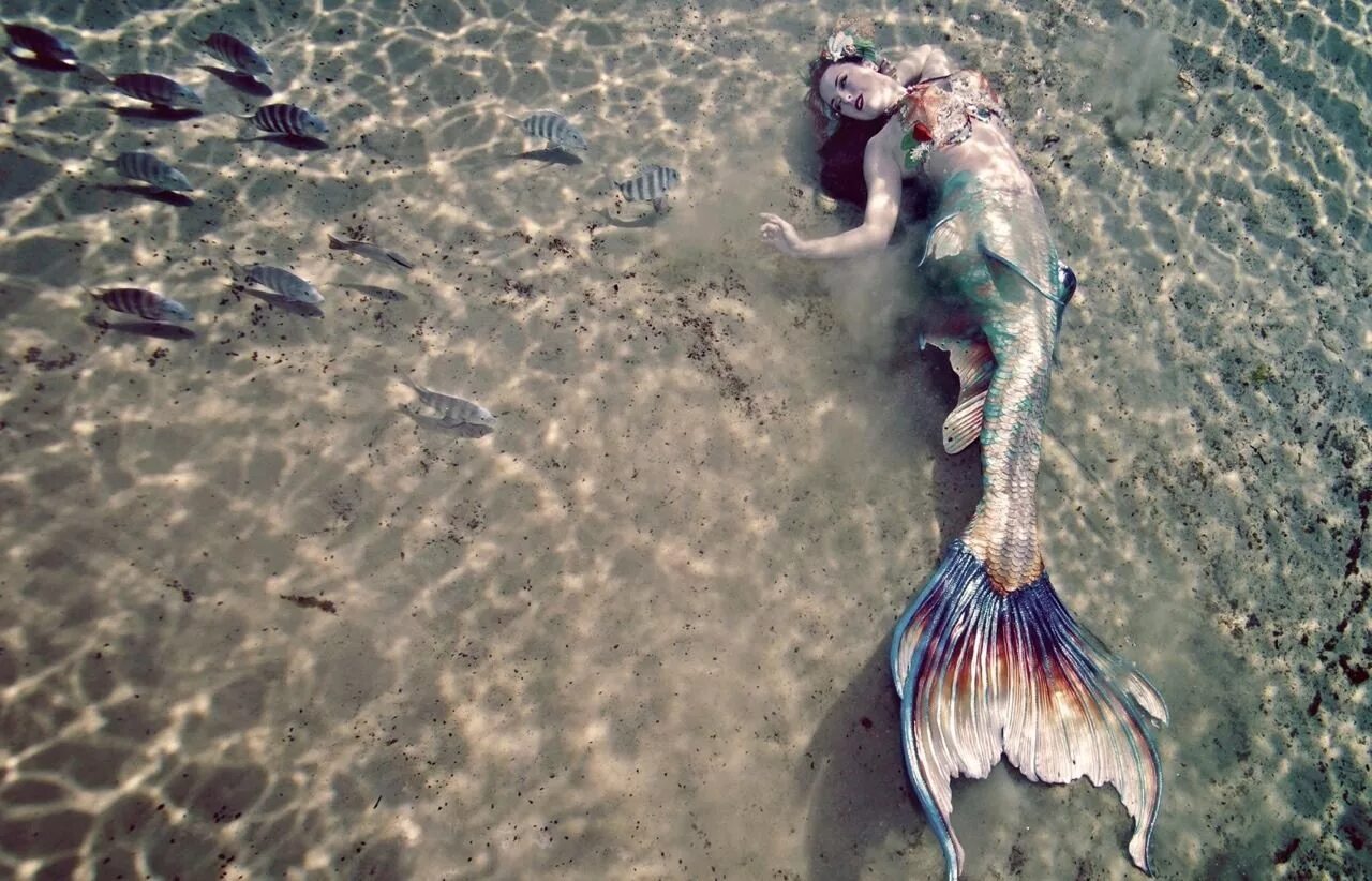 Фото живых русалок. Рунаншах Каспийского моря. Рунаншах монстр Каспийского моря. Настоящие русалки. Русалка настоящая.