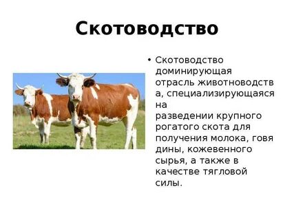 Тема животноводство 3 класс