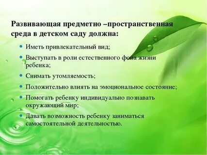 Понятие развивающей предметной среды