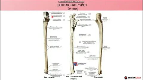 Жетілген әйел жыныстық мастурбация