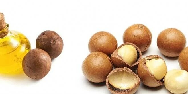 Масло макадамии для чего. Macadamia seed oil. macadamia nut oil. масло ореха макадамия. макадамии в косметологии.