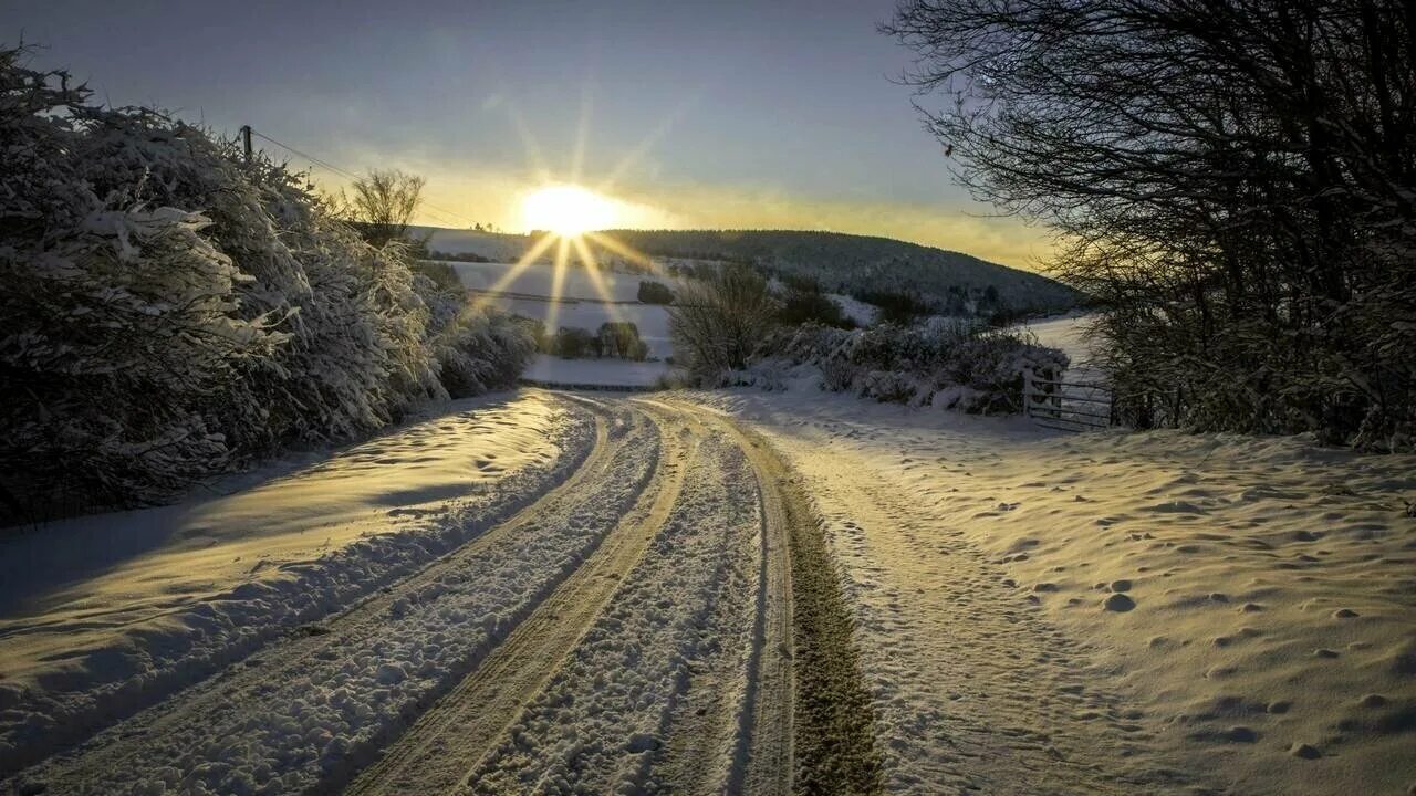Дорога без снега. Зимняя дорога. Заснеженная Проселочная дорога. Зимняя дорога в деревне. Проселочная дорога зима.