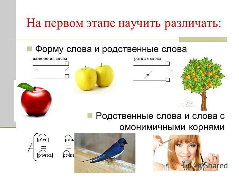 носик родственные слова. переносица однокоренные слова. переносица однокоренные слова. переносица однокоренные слова. однокоренные слова к слову печенье.