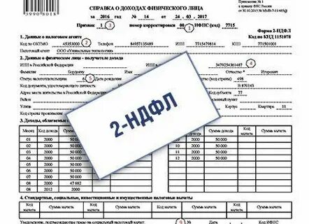 Сроки сдачи 2 ндфл за 2023