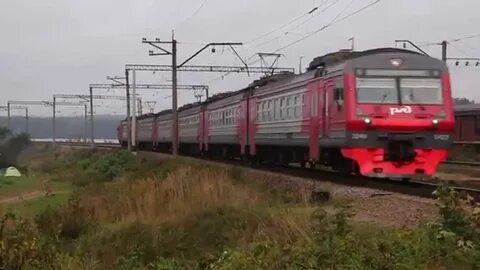 Пискаревка кавголово