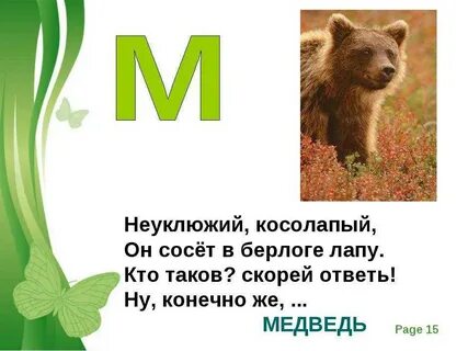 1 загадка медведь