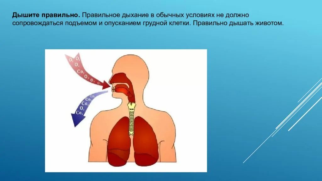 Правильным дыханием является. Неправильное дыхание. Правильное дыхание. Дыхание основа. Гигиена органов дыхания.