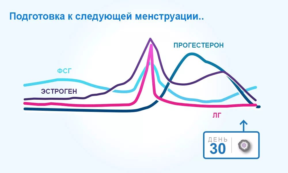 Прогестерон в овуляцию. Прогестерон после овуляции. Эстроген и прогестерон. Прогестерон перед овуляцией. Либидо перед месячными