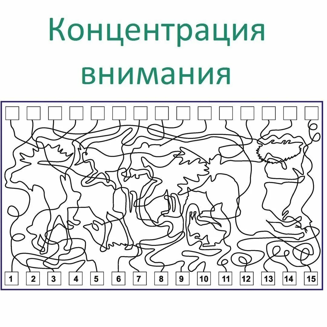 Методика Рисса Перепутанные линии. Задания на концентрацию внимания. Развивающие упражнения на внимание. Задания на внимание для дошкольников.