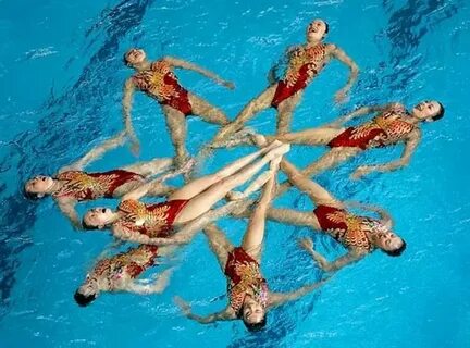 They swim