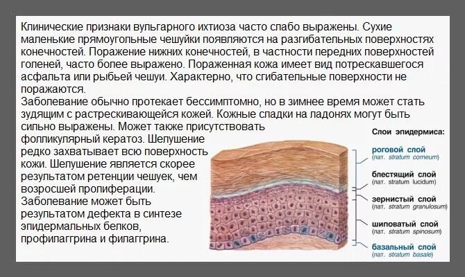 Появляется слой. Появляется слой