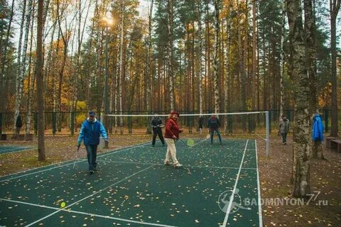 Электронный сосновка