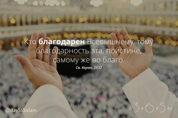 Благодаря всевышнего. Благодарность всевышнему. благодарю всевышнего. спасибо всевышнему аллаху. слова благодарности всевышнему.