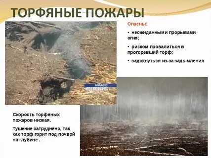 Почему торф горит