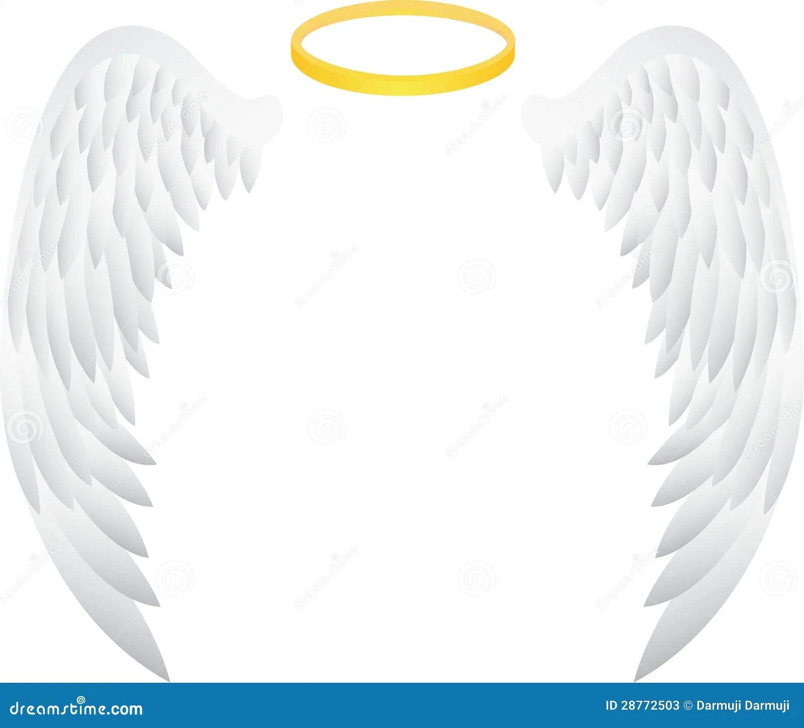 Крылья над головой. Крылья и нимб ангела. Крылья над головой. Кольцо ангела. Нимб ангела.