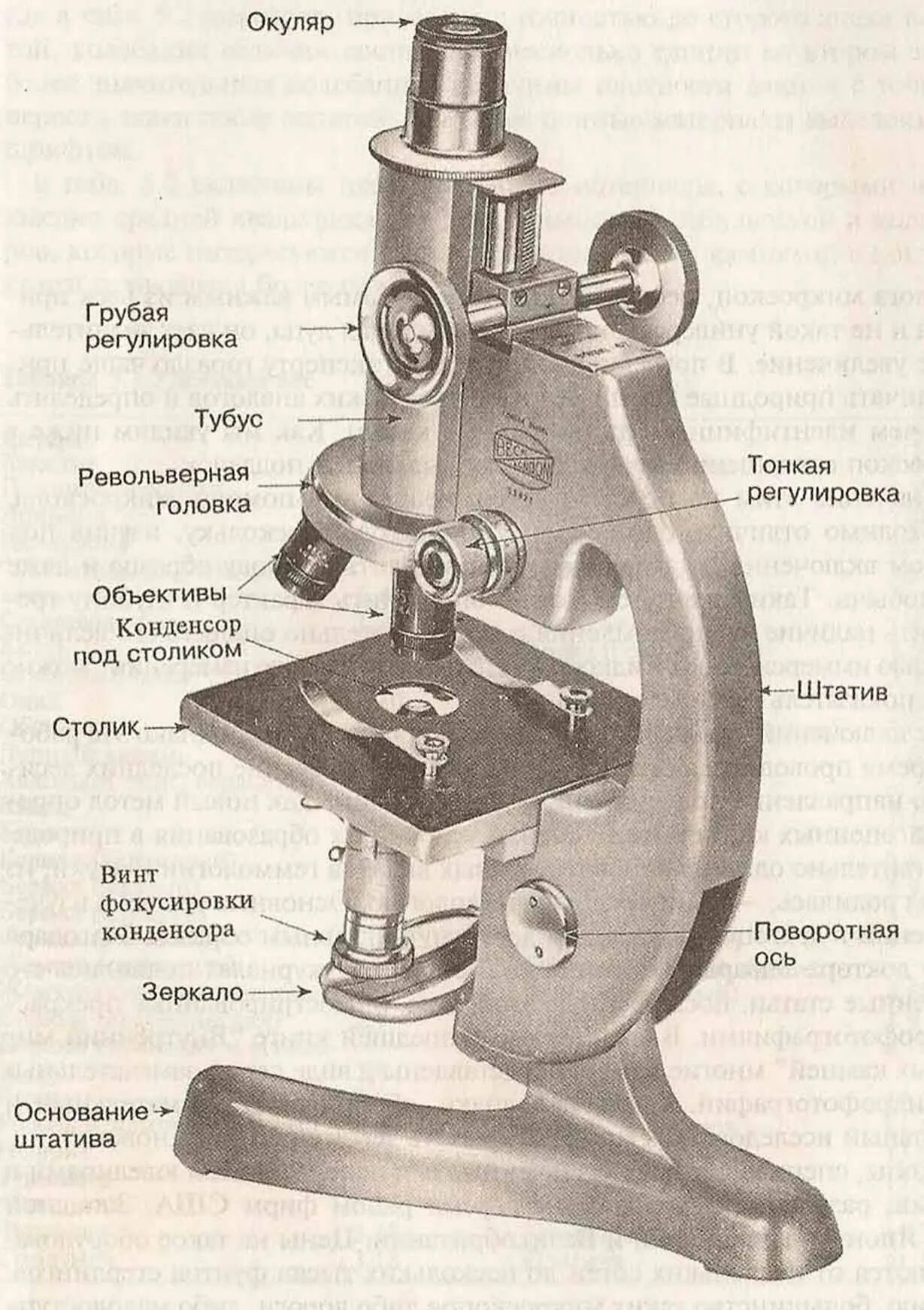 Микроскоп строение микроскопа. Схема строения микроскопа. Строение микроскопа биология. Схема светового микроскопа. Каждая часть микроскопа