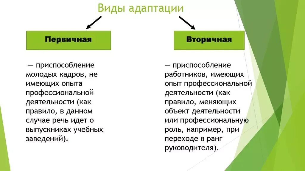 Адаптация организации виды