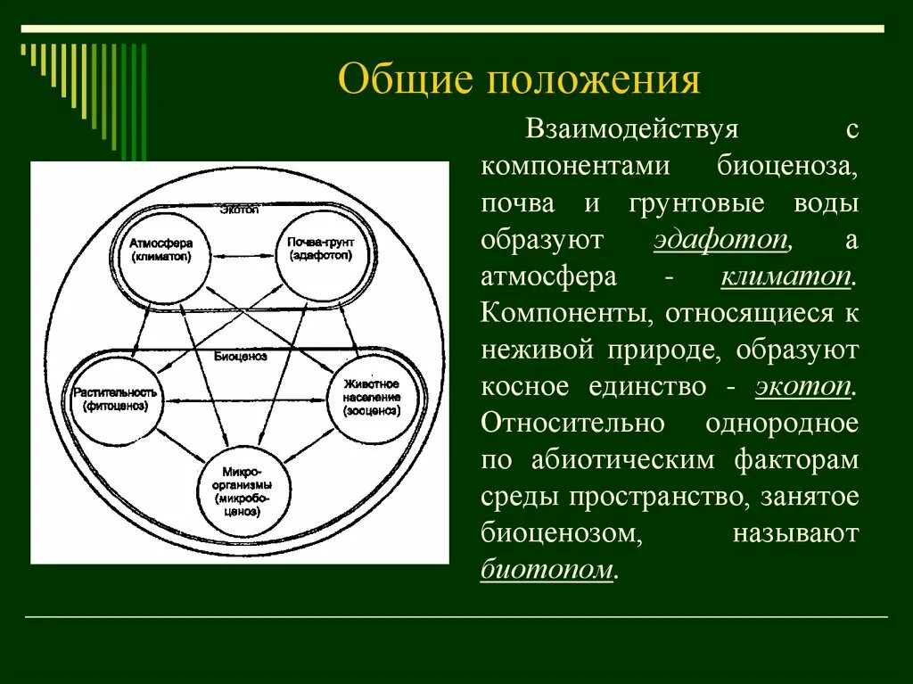 Природное жизненное пространство занимаемое биоценозом