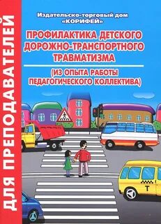 Программа по профилактике детского дорожно транспортного травматизма