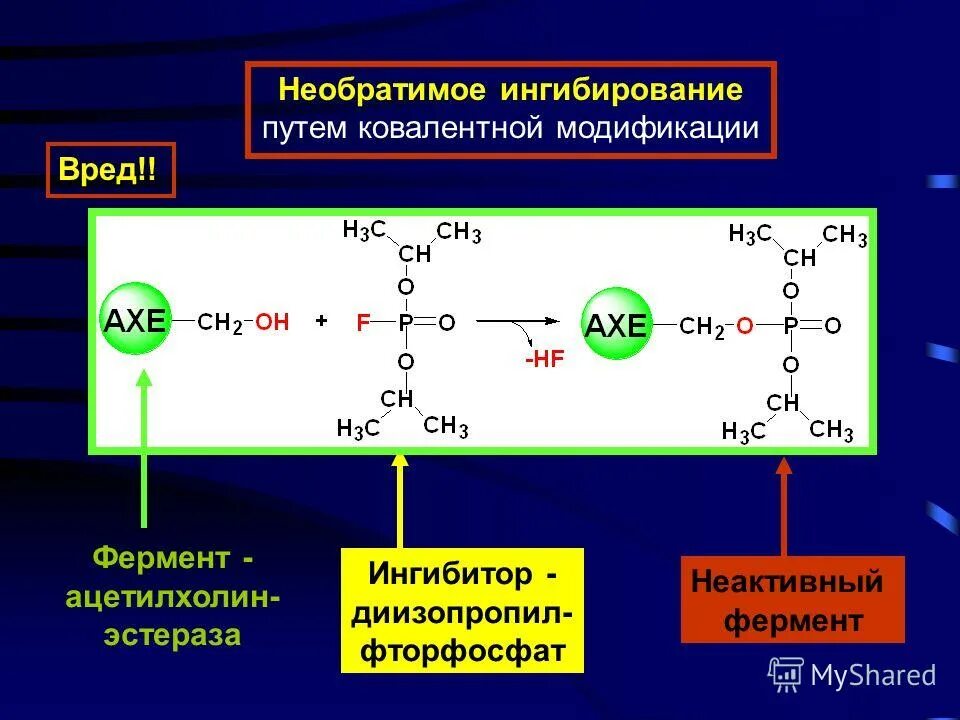 Изменения при шоке. Саморазвитие биогеоценоза. Реакция организма на травму общая и местная. Модификации необратимы. Агрегацию тромбоцитов вызывают.