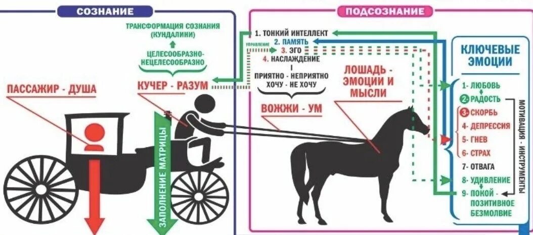 Природа человека сознание и подсознание Сюцай. Плакаты по Сюцай. Природа человека сознание и подсознание Сюцай плакат. Сюцай трансформация сознания. Число миссии по дате рождения