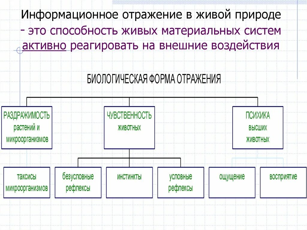 Что отражается в форме в. Виды информационного отражения. Формы отражения в живой природе. Отражение его формы в неживой и живой природе. Формы отражения в неживой природе.