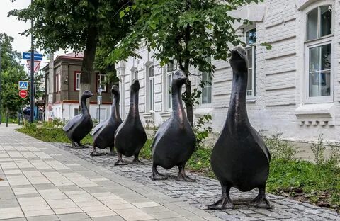 Арзамас гуси